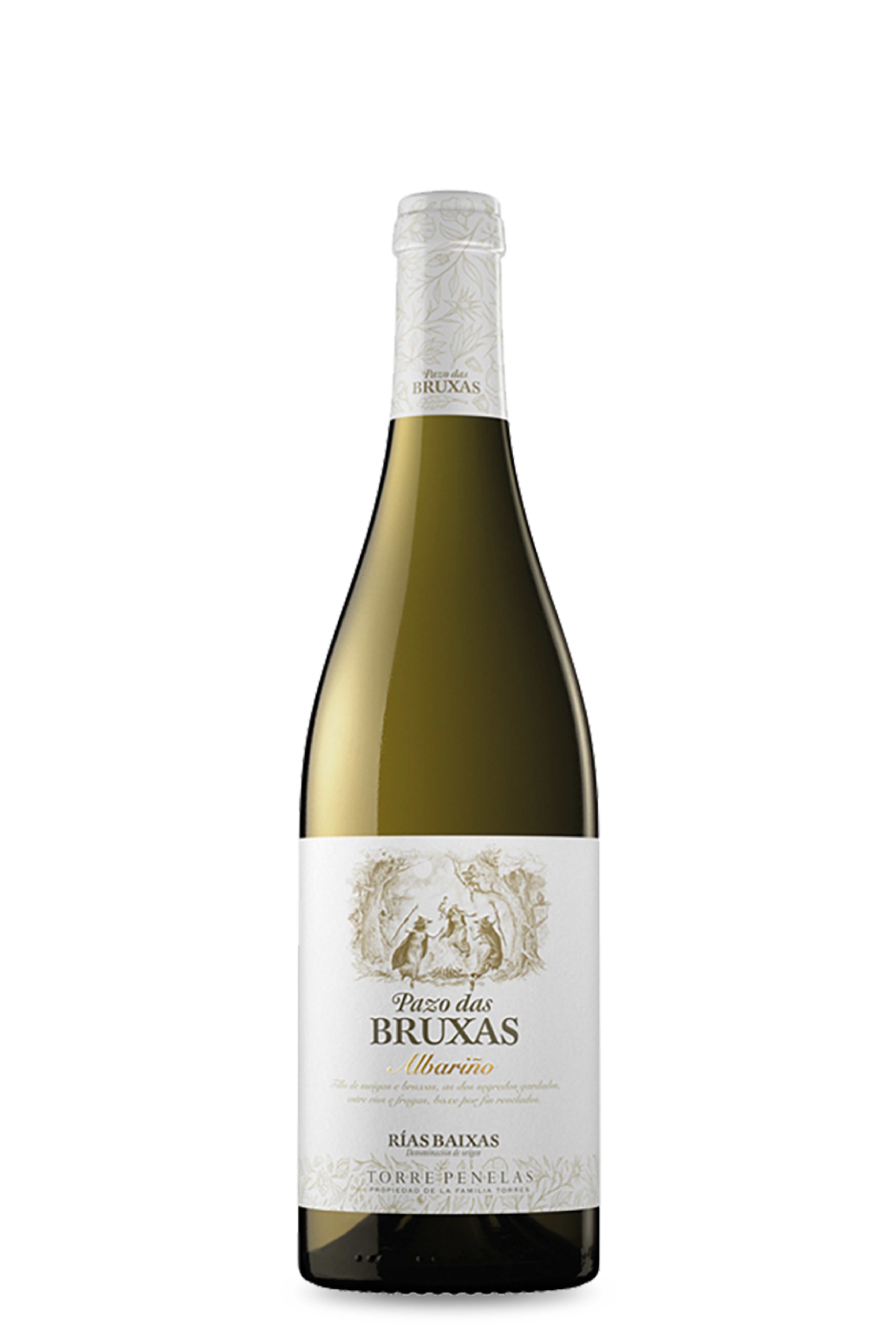 Pazo das Bruxas Albariño – Miguel Torres, Weisswein aus Rías Baixas